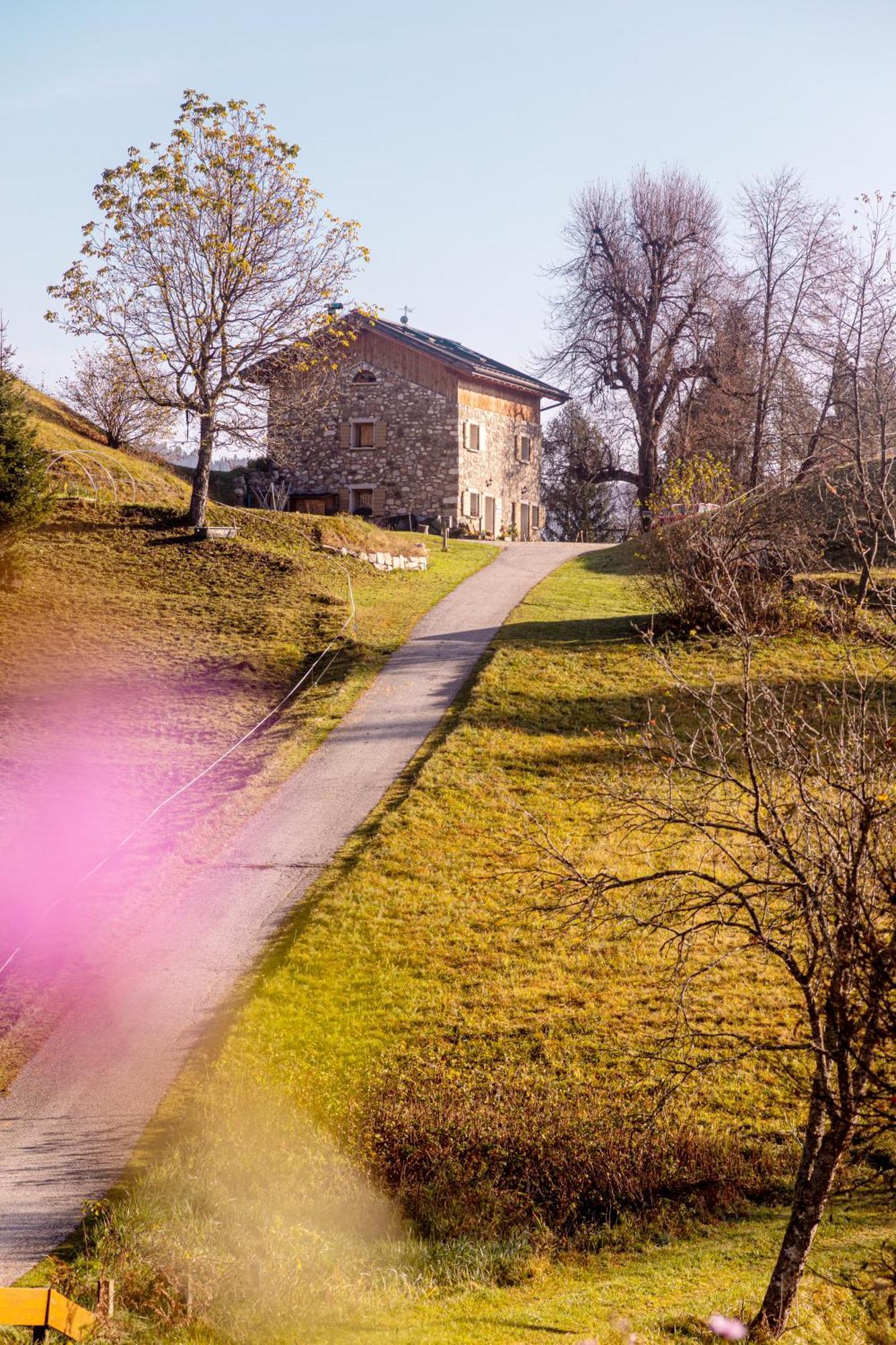 B&B Ai Marchetini Cinte Tesino ภายนอก รูปภาพ